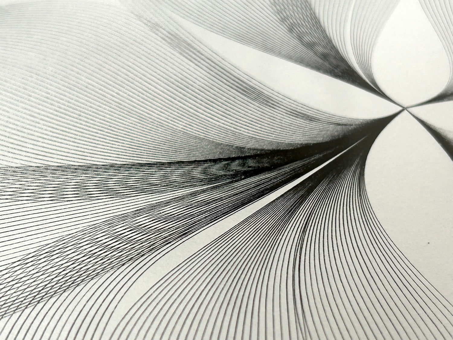 Flow Along