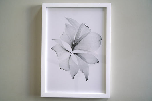 petal flow